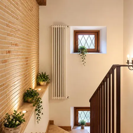 Al Palazzetto