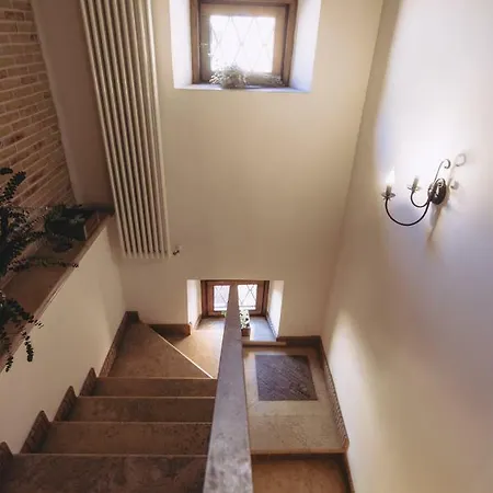 Al Palazzetto Tivoli